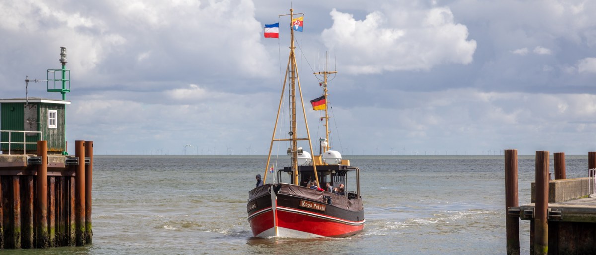 Oyster Bed Tour