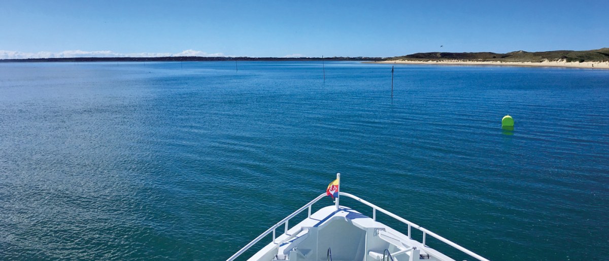 Kreuzfahrt durch das Wattenmeer (ohne Ausstieg)
