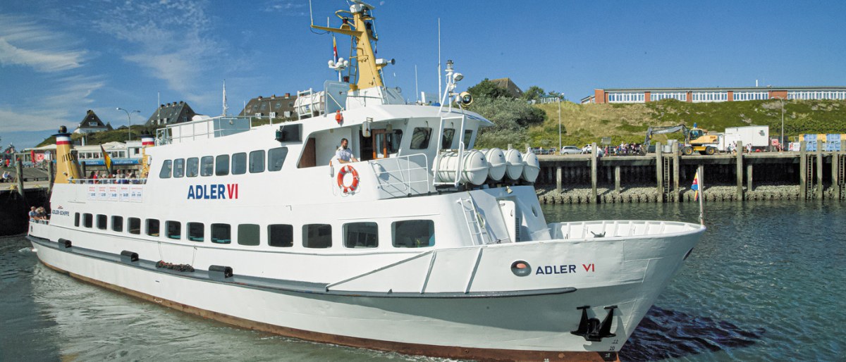 Fahrt zu den Seehunden mit Seetierfang