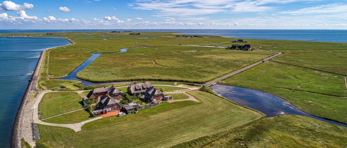 Insel Amrum & Hallig Hooge