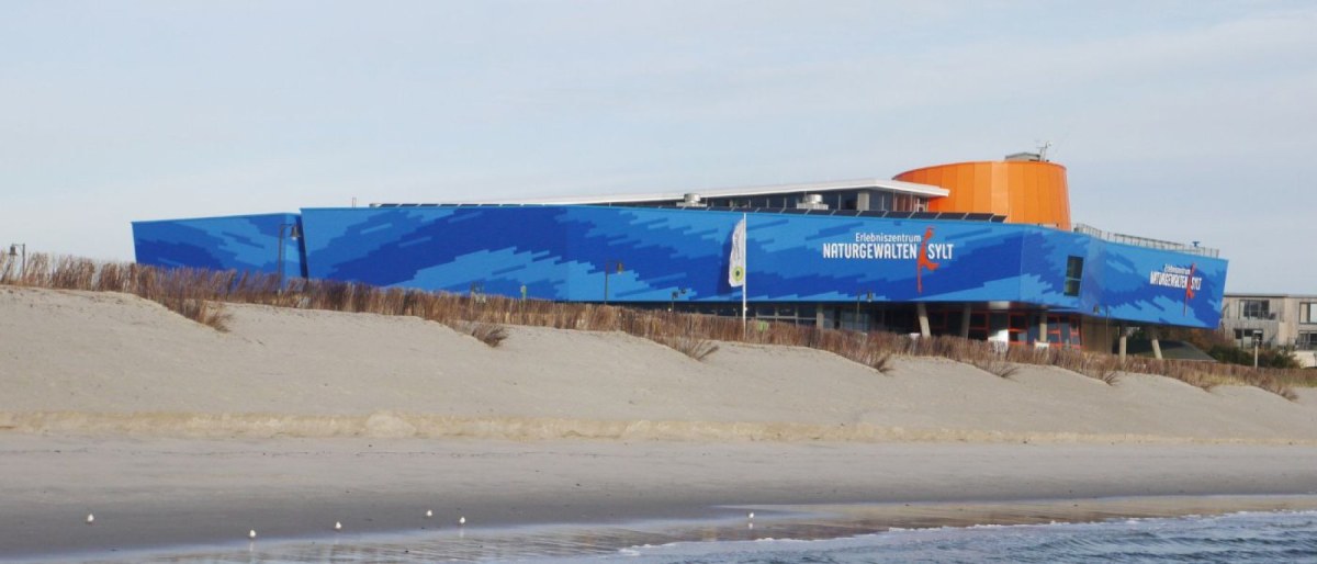 Kombiticket: Angelfahrt in den Lebensraum der Seehunde & Naturgewalten
