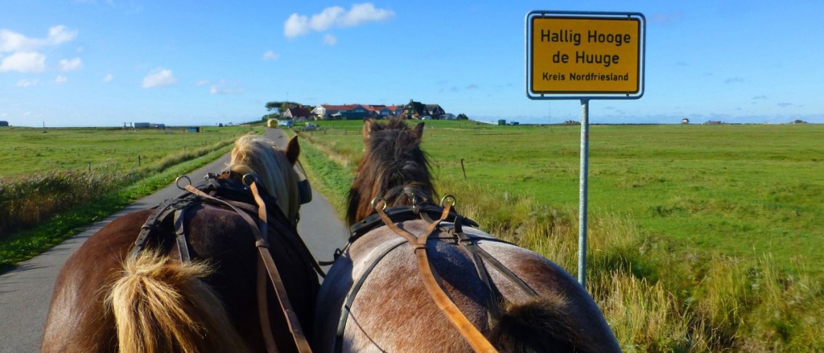 Insel Amrum & Hallig Hooge
