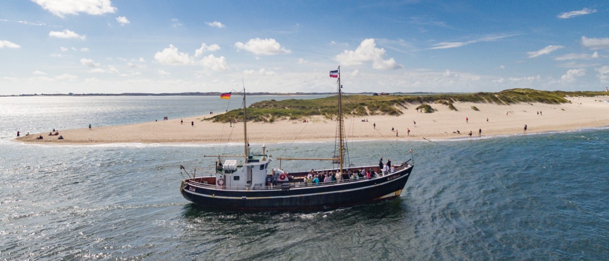 Pirate Trip for Kids